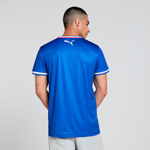 Haryana Steelers 2024 Men's Slim Fit Home Replica Jersey, PUMA Team Royal, extralarge-IND