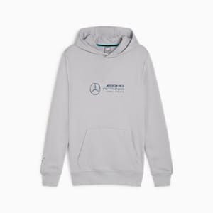 Mercedes-AMG Petronas Motorsport Men's Hoodie, Team Silver, extralarge