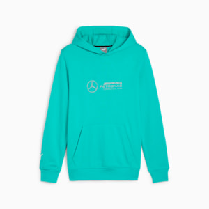 Mercedes-AMG Petronas Motorsport Men's Hoodie, Sheen Green, extralarge-IND