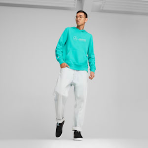 Mercedes-AMG Petronas Motorsport Men's Hoodie, Sheen Green, extralarge-IND