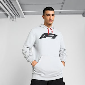 F1 Men's Motorsport Logo Hoodie, Ash Gray, extralarge-IND