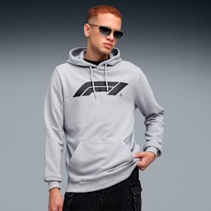 F1 Men's Motorsport Logo Hoodie, Gray Echo, extralarge-IND