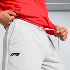 F1 Men's Motorsport Sweat Shorts, Ash Gray, extralarge-IND