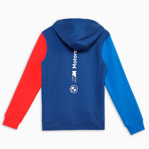 BMW M Motorsport Youth Hoodie, Pro Blue-M Color, extralarge-IND