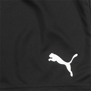 ftblPLAY dryCELL Kids' Shorts, Puma Black