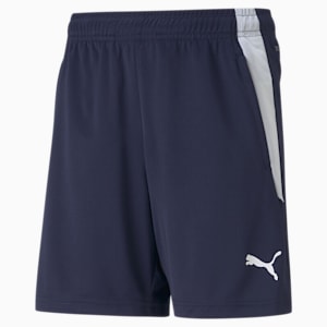 teamLIGA Youth Football Shorts, Peacoat-Puma White
