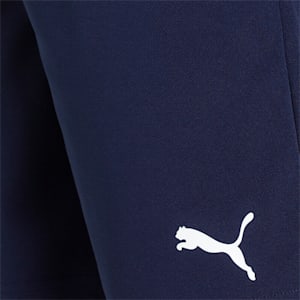 individualRISE Men's Football Shorts, Peacoat-Puma White, extralarge-IND