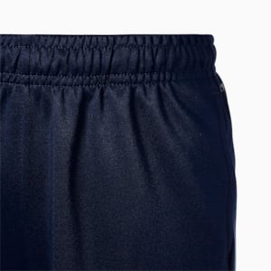 キッズ サッカー ボーイズ チームライズ トレーニング パンツ 120-160cm, Peacoat-Puma White, extralarge-JPN