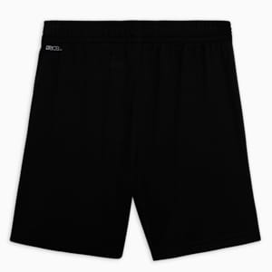 teamLIGA Training Youth Football Unisex Shorts, PUMA Black-Sun Stream, extralarge-IND