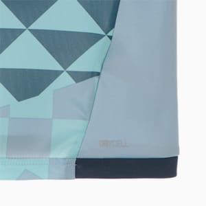 メンズ サッカー PUMA FUSSBALL PARK 半袖 シャツ, Blue Wash