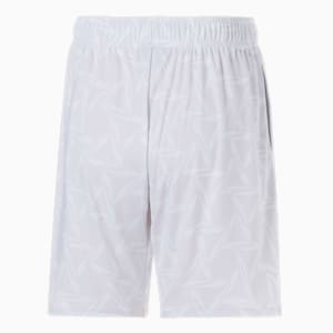 メンズ サッカー INDIVIDUAL トレーニング ハイブリッド ショーツ, PUMA White