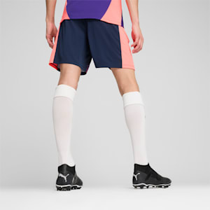 individualFINAL Men's Shorts, Club Navy-Dark Amethyst, extralarge