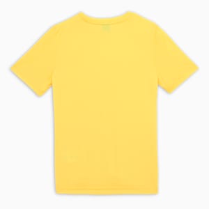 Cricket Teamwear Youth Plain Tee, Yellow Blaze, extralarge-IND