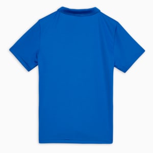 Cricket Teamwear Youth Plain Polo, Ultra Blue, extralarge-IND