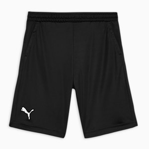 Cricket Teamwear Youth Shorts, Puma Black, extralarge-IND