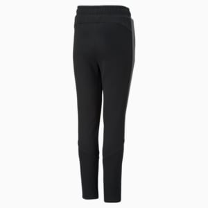Evostripe Pants Youth, Puma Black