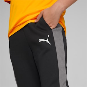 Evostripe Pants Youth, Puma Black