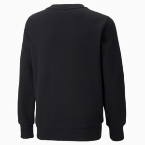 Alpha Printed Youth Regular Fit Sweatshirt, Puma Black, extralarge-IND