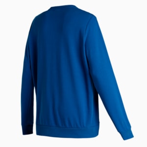 Graphic Men's Regular Fit Sweatshirt, Blazing Blue, extralarge-IND