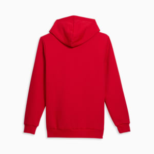 Big Cat Men's Logo Hoodie, For All Time Red, extralarge