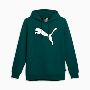 Big Cat Men's Logo Hoodie, Malachite, extralarge