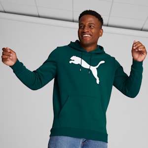 Big Cat Men's Logo Hoodie, Malachite, extralarge