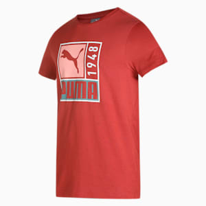 Graphic Men's Slim Fit T-Shirt, Chili Oil, extralarge-IND