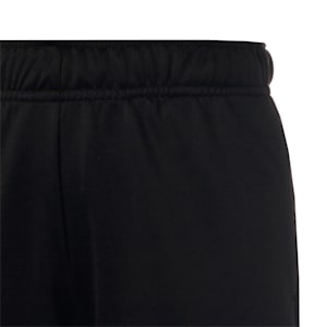 キッズ ボーイズ ACTIVE SPORTS トレーニング パンツ 120-160cm, PUMA Black, extralarge-JPN
