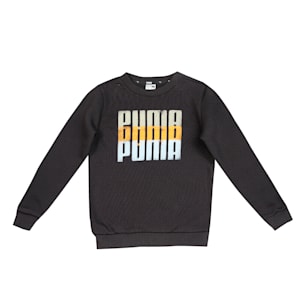 Summer Squeeze Youth Regular Fit Sweatshirt, Puma Black, extralarge-IND