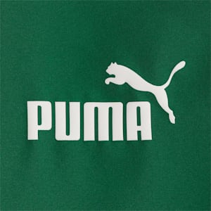 メンズ PUMA POWER ウーブン ジャージ 上下セット クローズドヘム, Vine