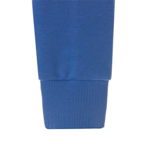 キッズ ボーイズ PUMA POWER クルー スウェット 120-160cm, Royal Sapphire, extralarge-JPN