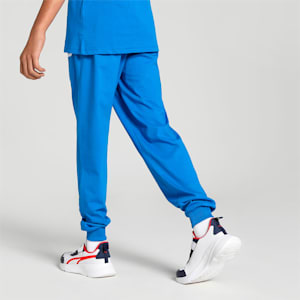 Super PUMA Printed Graphic Youth Regular FitPants, PUMA Team Royal, extralarge-IND