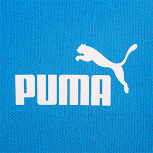 キッズ ボーイズ PUMA POWER クルースウェット 120-160cm, Racing Blue, extralarge-JPN