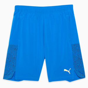 Puma shorts for mens india on sale