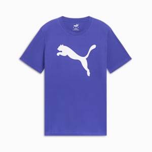 Essentials Big Cat Men's Tee, Lapis Lazuli, extralarge