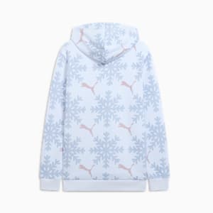 ESS+ Logo Lab Winter Snowflake Hoodie, Silver Mist, extralarge