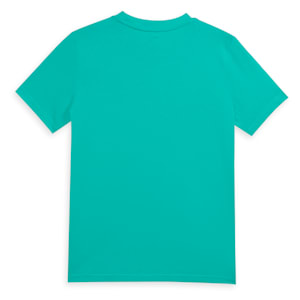 Colour No.1 Logo Youth Tee, Aquatic, extralarge-IND