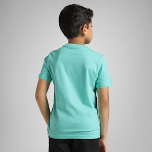 Colour No.1 Logo Youth Tee, Aquatic, extralarge-IND
