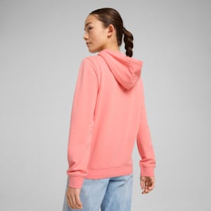 Essentials Script Big Kids' Hoodie, Pink Fruit, extralarge