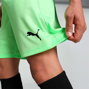 teamLIGA Men's Football Shorts, Fizzy Lime-Puma Black, extralarge-IND