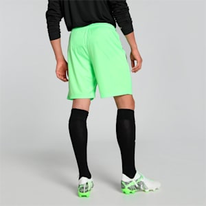 teamLIGA Men's Football Shorts, Fizzy Lime-Puma Black, extralarge-IND