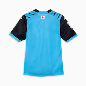 メンズ 川崎フロンターレ ACLE 2024 半袖 ユニフォーム, AZURE BLUE-(F Saxe) AOP, extralarge-JPN