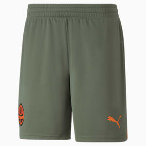 FC Shakhtar Donetsk 22/23 Replica Shorts Men, Thyme-GOLDEN POPPY