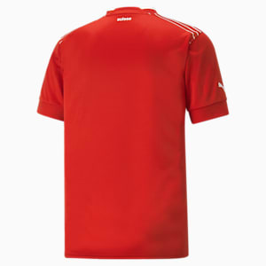 Switzerland Home 22/23 Replica Jersey Men, Puma Red-Puma White