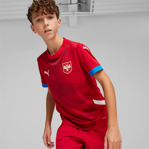 Serbia Football 2024 Youth Home Jersey, Dark Cherry-PUMA Team Royal, extralarge-GBR