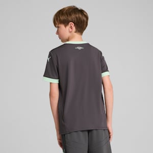 Camiseta tercera de fútbol para niños grandes AC Milan 24/25, Shadow Gray-Fresh Mint, extralarge