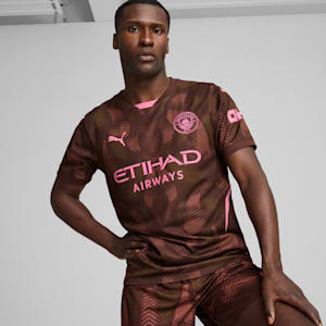 Manchester City 24/25 Goalkeeper Short Sleeve Jersey Men, Espresso Brown-Wild Willow, extralarge-GBR