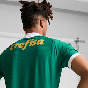 Palmeiras '24 Authentic Home Men's Jersey, Power Green, extralarge