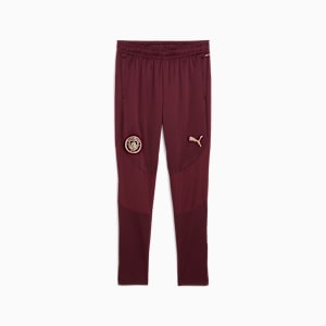 Manchester City Training Pants Men, Dark Jasper, extralarge-GBR