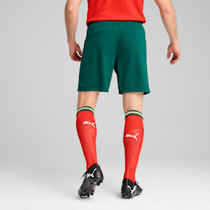 Portugal 2025 Men's Football Shorts, Blessing Green-Sugared Almond, extralarge-IND